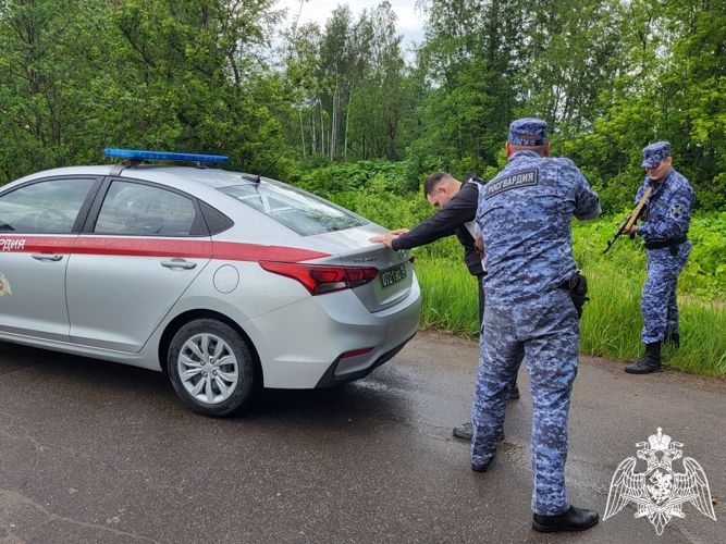 Почти 40 правонарушений пресечено сотрудниками Росгвардии за минувшую неделю