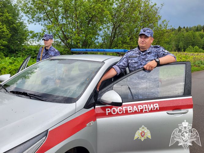 Почти 50 правонарушителей задержали сотрудники вневедомственной охраны Росгвардии на прошлой неделе