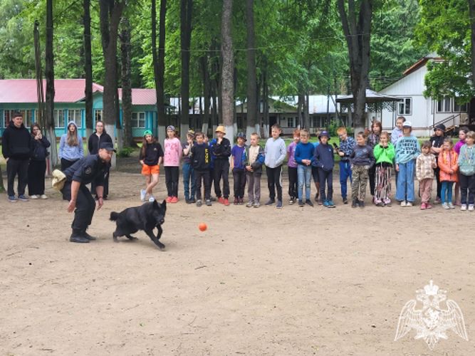 В Ивановской области продолжается всероссийская ведомственная акция «Каникулы с Росгвардией»