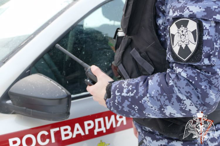 Сотрудники Росгвардии пресекли попытку угона автомобиля в Ивановской области