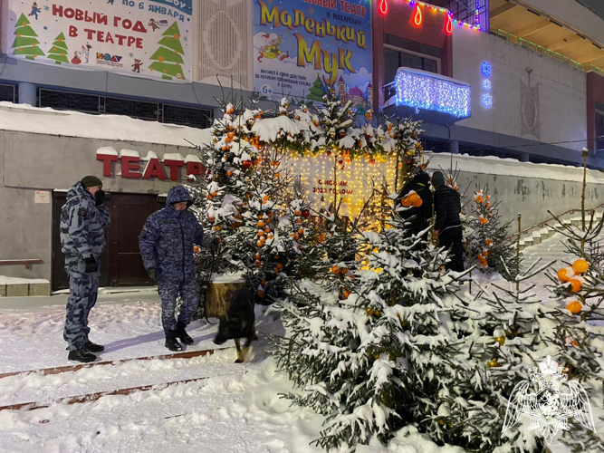 Сотрудники Росгвардии обеспечили охрану общественного порядка в новогоднюю ночь в Ивановской области
