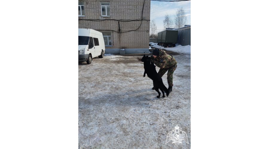 Ивановские школьники побывали на базе ОМОН "Спарта" Росгвардии