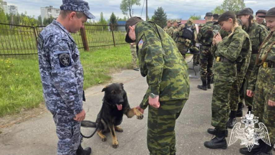 Сотрудники Росгвардии приняли участие в проведении военно-патриотической игры "Зарница 2.0" в Ивановской области