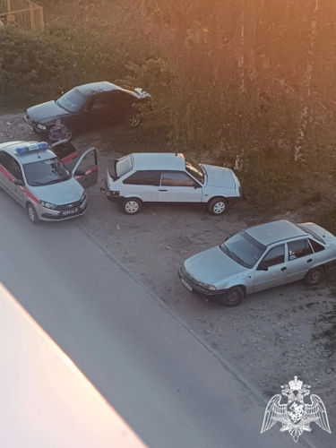  Росгвардейцы задержали угонщиков автомобиля в Ивановской области