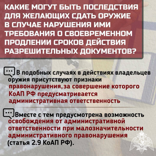 Ивановские росгвардейцы информируют жителей региона о возможности передать оружие и боеприпасы для нужд СВО