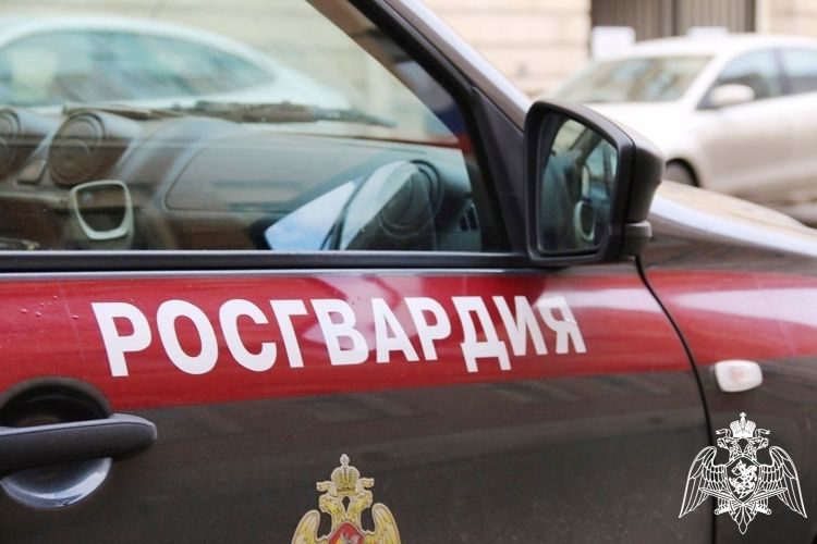 В Иванове сотрудники Росгвардии задержали в гипермаркете женщину за попытку хищения товара