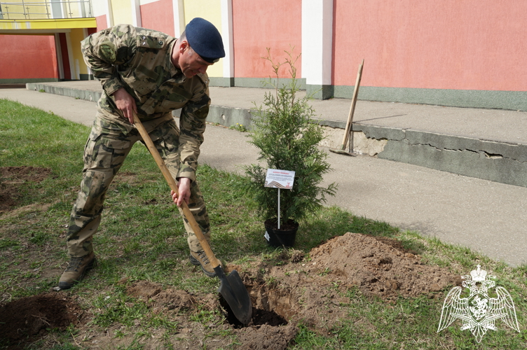 В Иванове росгвардейцы приняли участие в городском мероприятии «Аллея Победы»