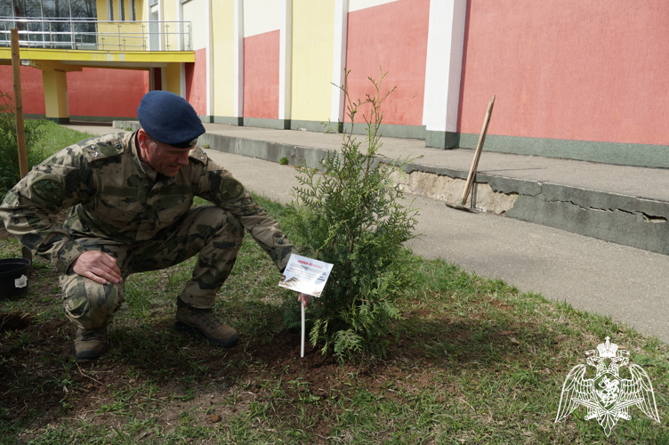 В Иванове росгвардейцы приняли участие в городском мероприятии «Аллея Победы»