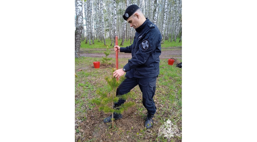 В Иванове росгвардейцы присоединились к международной патриотической акции «Сад памяти»