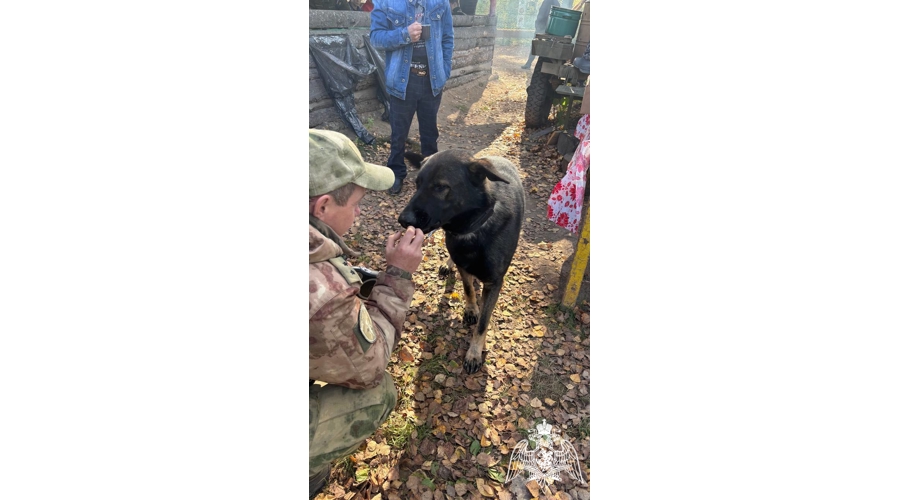 Сотрудники Росгвардии приняли участие в мероприятиях, посвященных 130-летию со дня рождения Маршала Василевского в Ивановской области