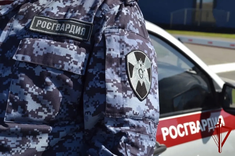 В Иванове сотрудники Росгвардии по горячим следам задержали дебошира, приезжего из Северной столицы